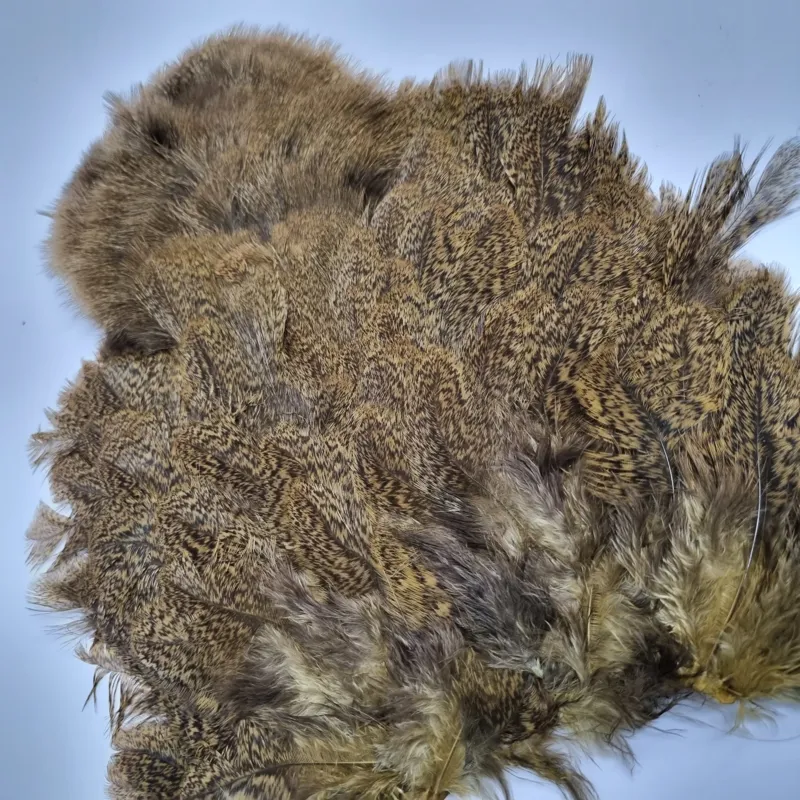 Whiting Coq de Leon Hen Soft Hackle with Chickabou in Speckled Golden Olive-7